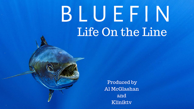 Bluefin: Life on The Line