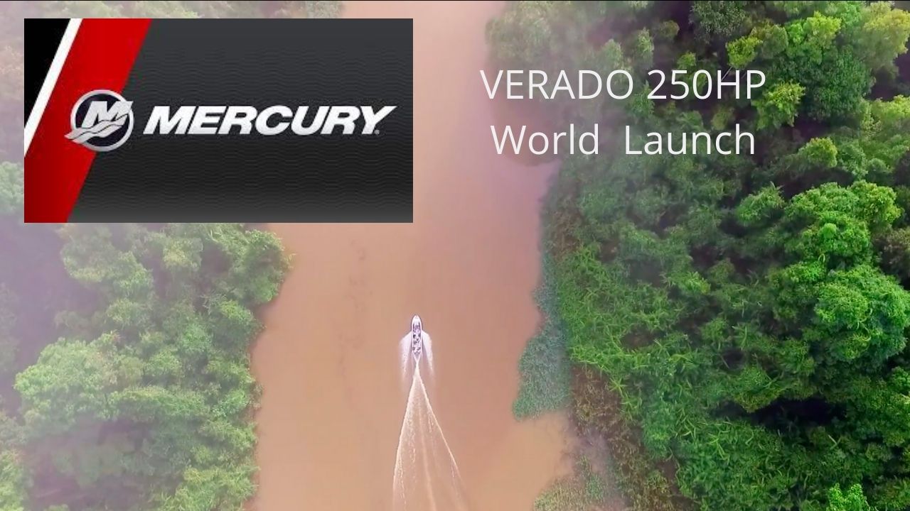 Mercury - Go Boldy